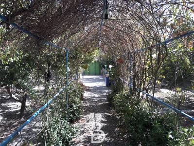 باغ ویلای 450 متری در خوشنام ملارد 