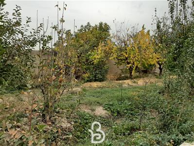 1500 متر باغ ویلای سرسبز و آباد در شهریار 