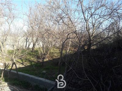 باغچه 350 متری سند تک برگ در قجر اباد شهریار 