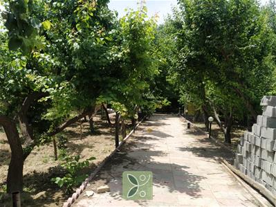 باغ ویلا 1350 متری سند دار تک برگ در ملارد 