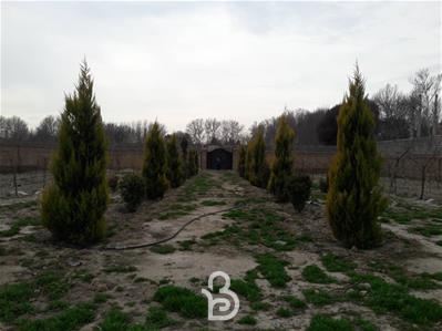باغ ۲۳۴۰متری کوشک