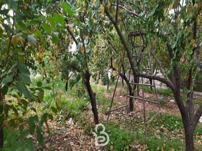 750متر باغ بر اصلی سند شش دانگ در ملارد 