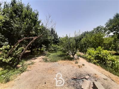 5000 متر باغ چهاردیوار در یبارک