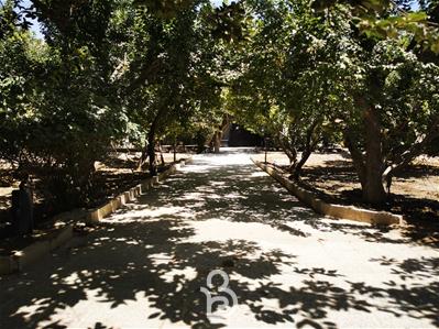 1450 متر باغ با درختان و بنای قدیمی در لم آباد