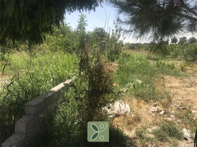 باغچه ۵۰۰ متری در کردامیر شهریار 