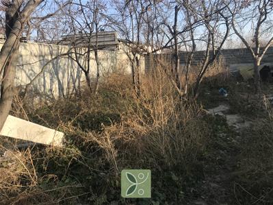 ۱۵۰۰متر باغ چهار دیوار سند دار تک برگ در شهریار 