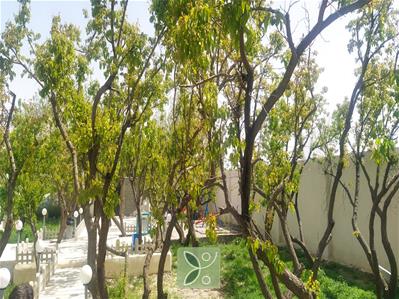 باغ ویلای 1000 متری در اسفند آباد ملارد