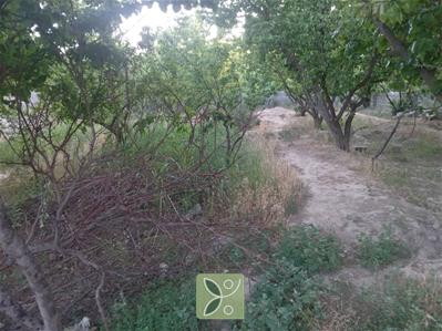 450 متر باغ سند دار تک برگ در شهریار 