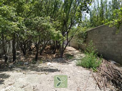 500 متر باغ خام سند دار تک برگ در اسفندآباد ملارد